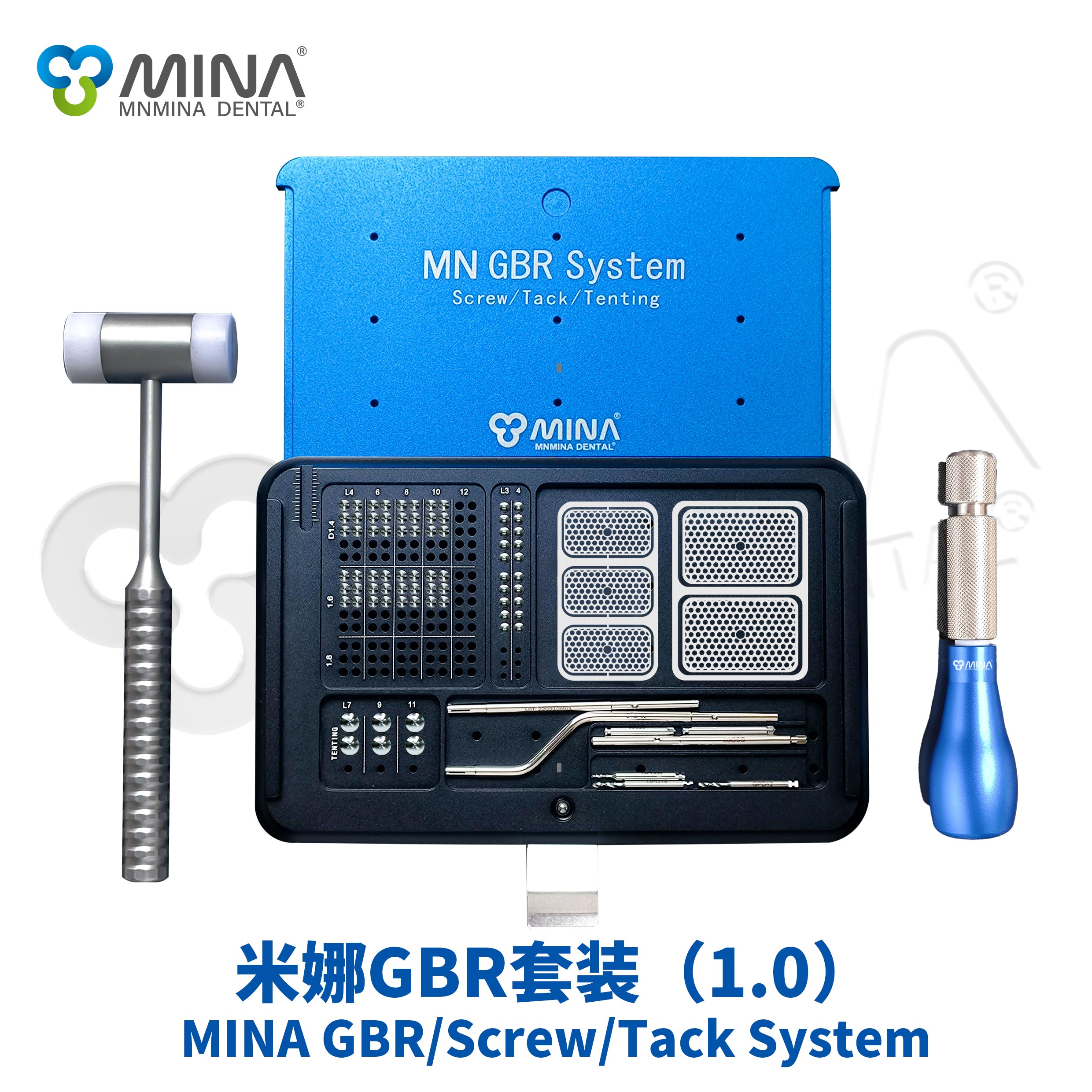 MINA GBR System