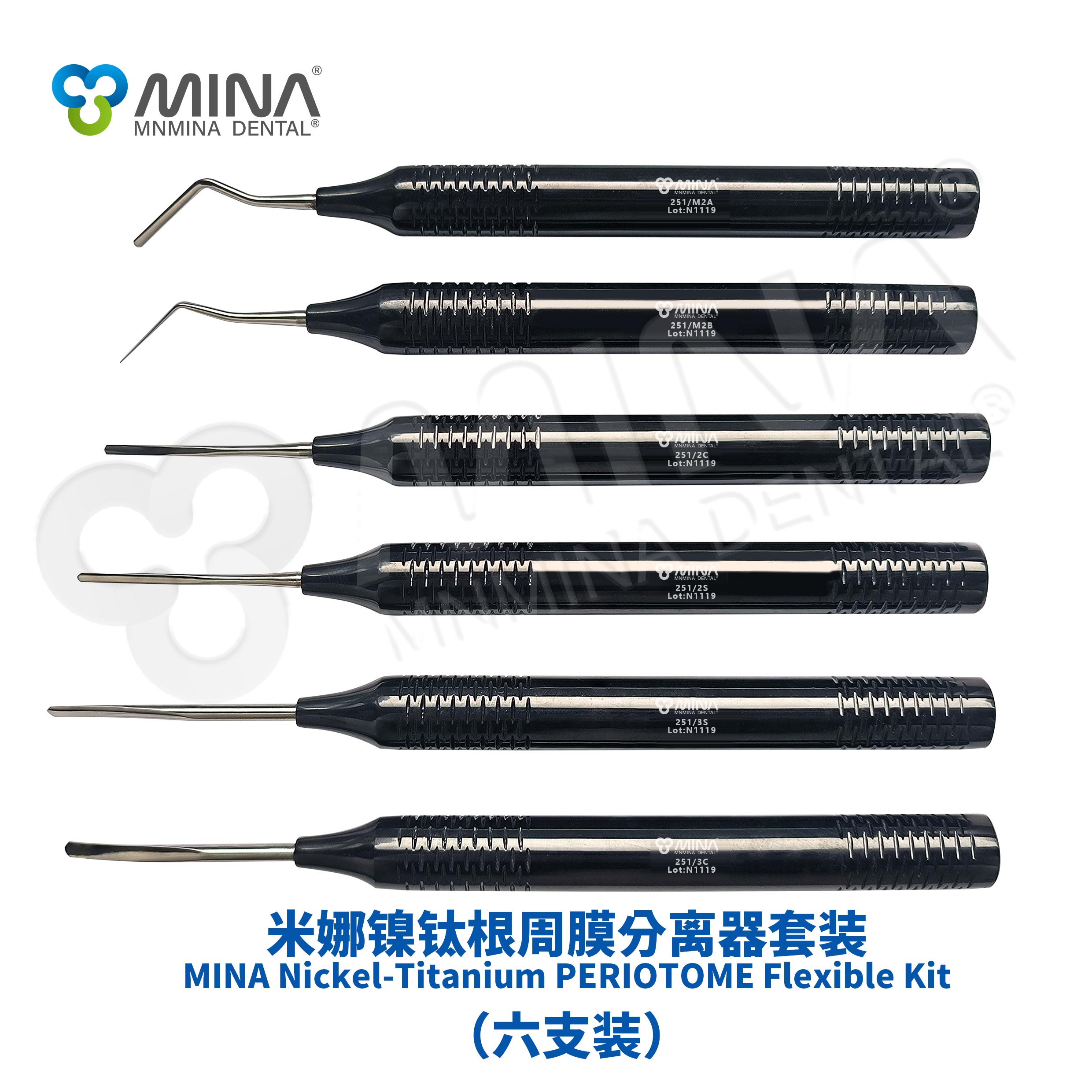 MINA Nickel-Titanium Periradicular Membrane Separator Kit