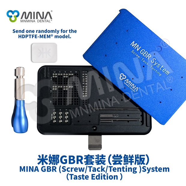 MINA GBR System (Taste Edition)